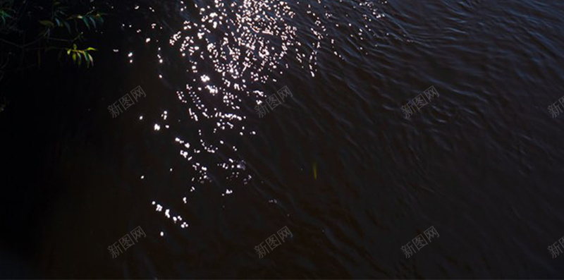 耀眼阳光与树木湖景H5素材背景jpg设计背景_新图网 https://ixintu.com 阳光 光线 水面 树木 湖景 风景 摄影 H5素材