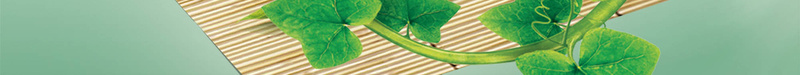 端午节粽子广告背景psd设计背景_新图网 https://ixintu.com 五月节 浴兰节 端阳节 龙舟节 叶子 端午节 午日节 粽子 端午节促销活动