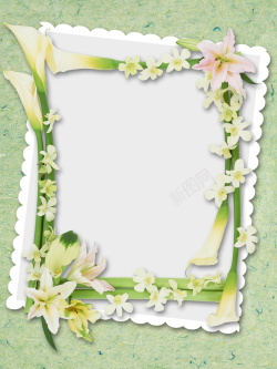 马蹄花相框相册简约花朵叶子高清图片