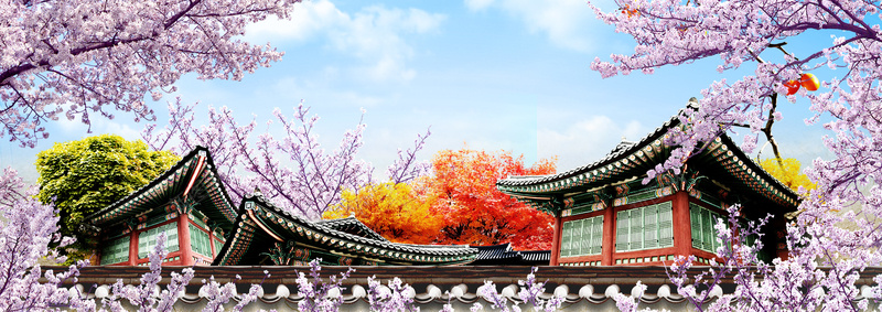 风景banner背景jpg设计背景_新图网 https://ixintu.com 樱花节 建筑 樱花 落叶 风景 凉亭 海报banner 扁平 渐变 几何