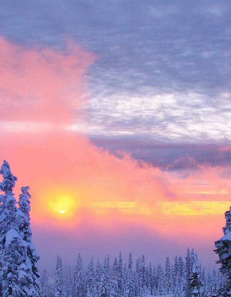 冬季风景H5紫色背景jpg设计背景_新图网 https://ixintu.com 天空 云朵 彩霞 大树 雪地 白色 H5 h5 摄影 风景
