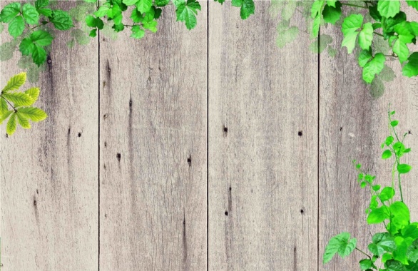 韩式木板白色绿叶森林健康藤曼家装海报背景背景