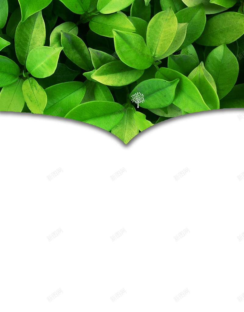绿色树叶微商海报背景素材psd设计背景_新图网 https://ixintu.com 树叶素材 树叶背景 绿色素材 背景绿色 绿色 商海