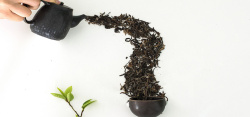 黑色瓷器茶叶的创意拍摄图片高清图片