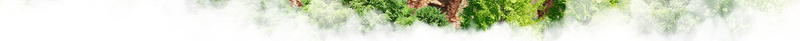 夏季草莓采摘宣传海报psd设计背景_新图网 https://ixintu.com 夏季 宣传 海报 草莓 采摘 水果 底纹 水果店 绿叶 背景 素材