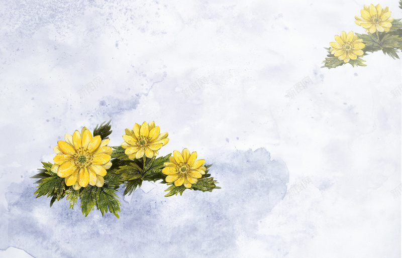 黄色手绘花朵背景psd设计背景_新图网 https://ixintu.com 手绘 水彩 纹理 花卉 花朵 植物 清新 黄色 卡通 童趣