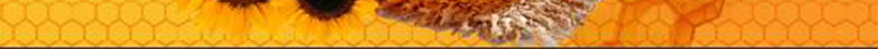 矢量创意蜂蜜美食海报背景素材psd设计背景_新图网 https://ixintu.com 广告设计模板 创意 蜂巢 蜂蜜 蜜蜂 蜂蜜宣传推广海报 清新美食商用海报 太阳花