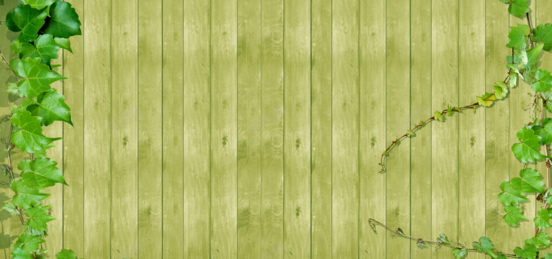 木质墙壁树叶背景jpg设计背景_新图网 https://ixintu.com 木质 墙壁 树叶 绿色 藤蔓 海报banner 质感 纹理