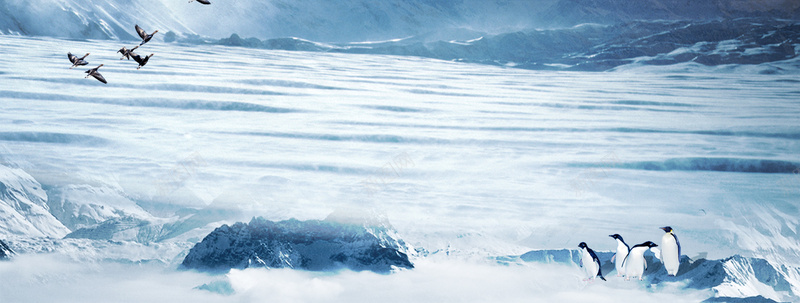 南极企鹅背景psd设计背景_新图网 https://ixintu.com 企鹅 南极雪景 梦幻 水面结冰 浪漫 海报banner 白色 雪山