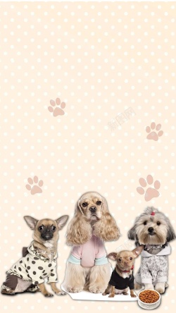 宠物驯养简约可爱粉色狗狗H5背景图高清图片