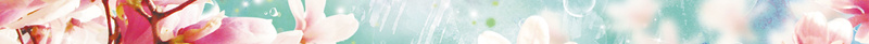 粉色唯美手绘桃花夏季新品海报背景素材psd设计背景_新图网 https://ixintu.com 水彩桃花 清新 蓝粉色 小鸟 蓝天 上海桃花节 桃花朵朵 夏季 夏季新品 新品首发
