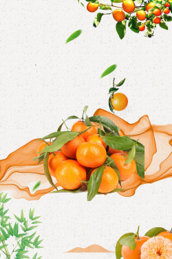 蜜橘春季水果新鲜砂糖橘海报高清图片