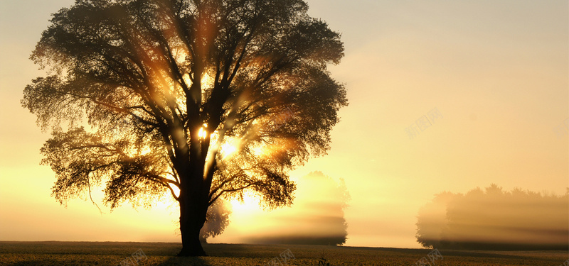 黎明的风景jpg设计背景_新图网 https://ixintu.com 光线 性质 光 树木 早上 字段 太阳 黎明 风景 海报banner 摄影