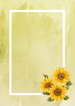 菊展浅黄宣纸纹理菊花典雅海报背景素材高清图片