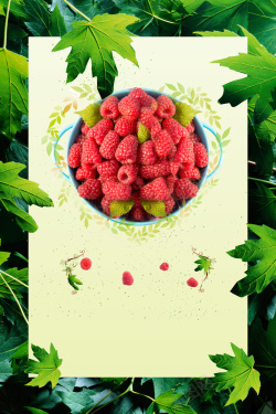 桑叶绿叶覆盆子树莓水果广告海报背景素材高清图片