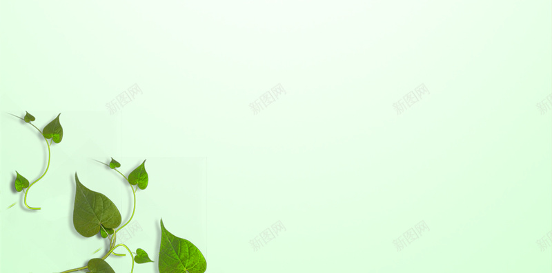绿色植物纯天然化妆品护肤H5背景psd设计背景_新图网 https://ixintu.com 化妆品 纯天然 护肤 植物 绿色 H5 h5 浪漫 梦幻
