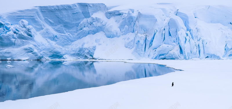 冰雪背景jpg设计背景_新图网 https://ixintu.com 冰雪 动态 唯美 浪漫 南极 海报banner 梦幻