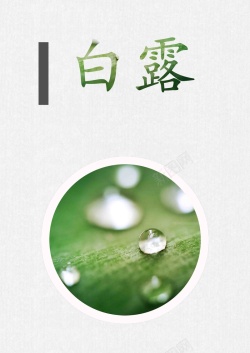 白露节白露二十四节气节日高清图片