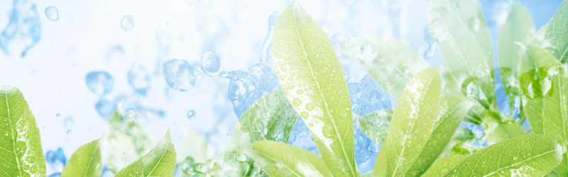 摄影水珠叶子背景jpg设计背景_新图网 https://ixintu.com 摄影 水珠 叶子 背景 水里 海报banner 风景