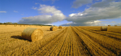 麦秸淘宝背景图高清图片