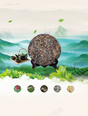 中国风福鼎白茶新品上市海报背景素材背景