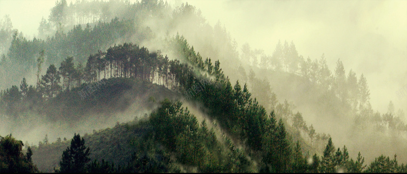 特产促销背景背景