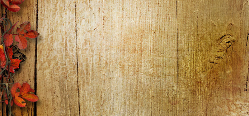 木板上的落叶背景图背景
