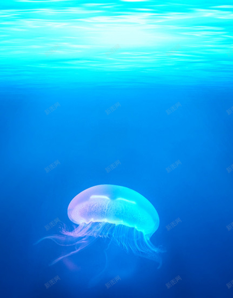 海底世界的水母H5背景jpg设计背景_新图网 https://ixintu.com 光线 大气 大海 开心 彩色水母 水母 海底 蓝色