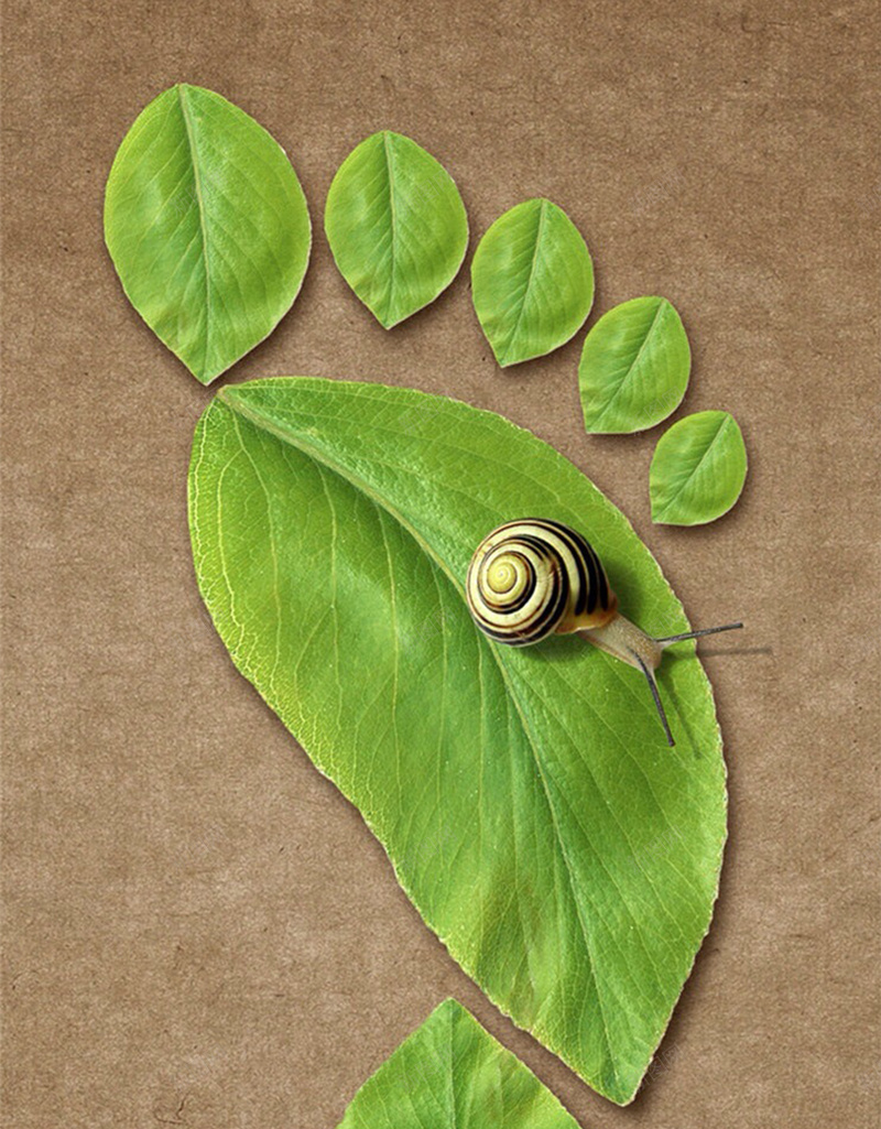 棕色背景上的叶子H5素材jpg设计背景_新图网 https://ixintu.com 棕色背景 创意 动物 叶子 蜗牛 H5素材 叶子足印