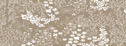 褐色树叶花纹树枝背景图高清图片