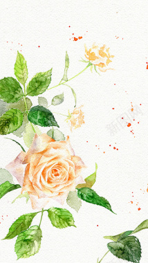 小清新手绘玫瑰H5背景素材背景