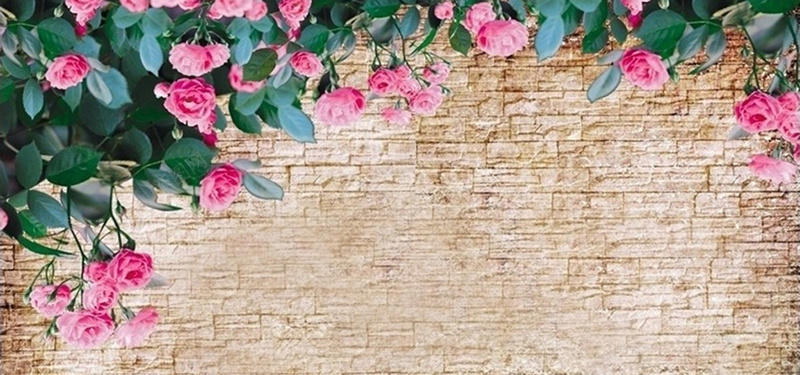 玫瑰文化砖墙背景背景