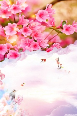 樱花海唯美春天醉美樱花节春季旅游高清图片