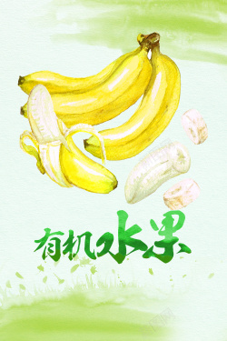 有机香蕉手绘水彩有机香蕉背景素材高清图片