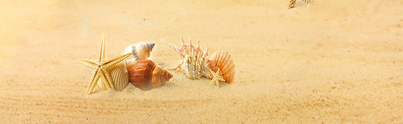 沙滩中的海报背景jpg设计背景_新图网 https://ixintu.com 热气球 大海 快乐 沙滩 蓝色 海星开心