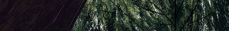 个性宣传海报设计psd设计背景_新图网 https://ixintu.com 个性 人物 成功 手表 绿色 树叶 职业 手 西装 手绘