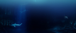 海瑟深海海底渐变蓝色景色背景高清图片