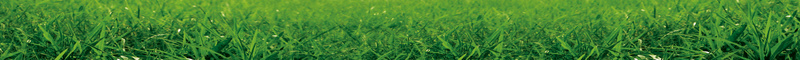 绿色食品海报背景素材psd设计背景_新图网 https://ixintu.com 自然风景模板下载 自然风景 水滴 绿叶 食品 蓝天 绿树 草地 树木 云朵 树叶 海报设计 广