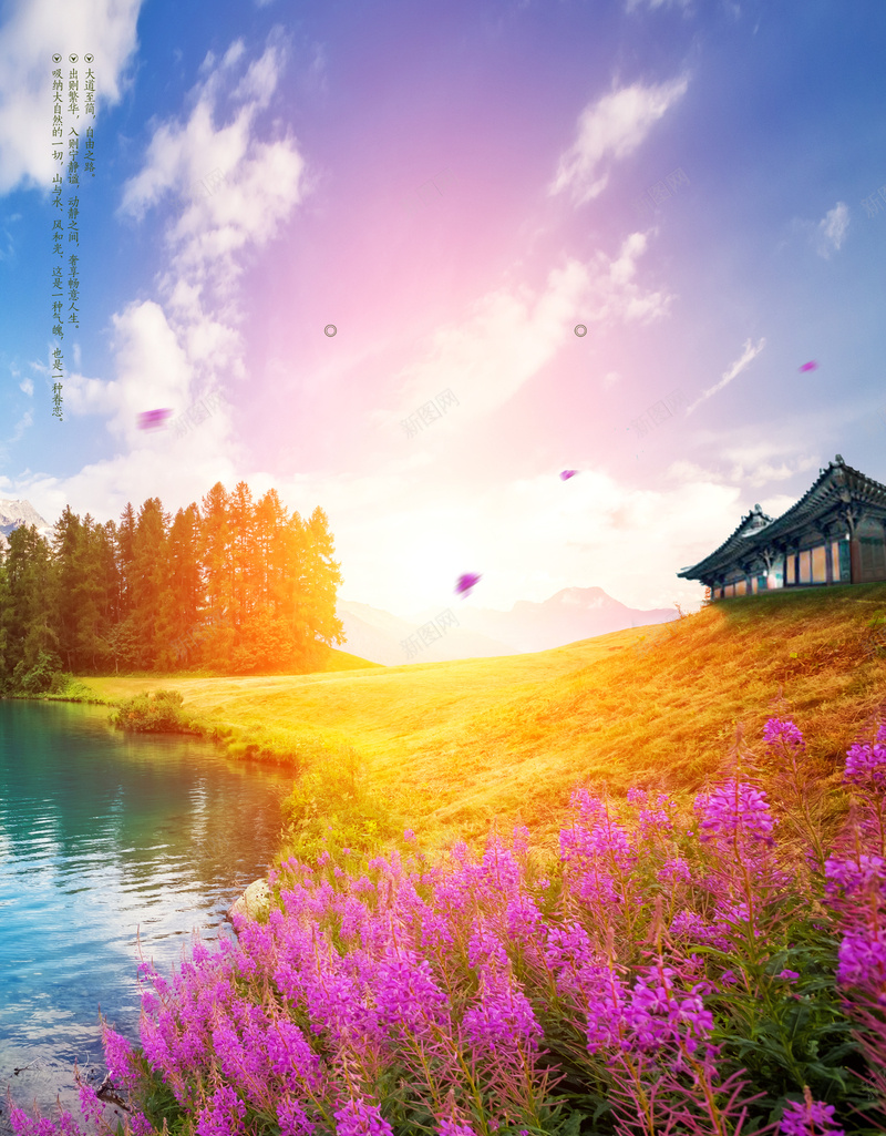 浪漫花海海报背景背景图片免费下载 素材m Bngmrznmm 新图网