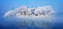 候鸟迁徙冬季浪漫白色电商海报背景高清图片