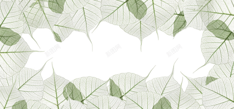 日系清新文艺手绘树叶背景背景