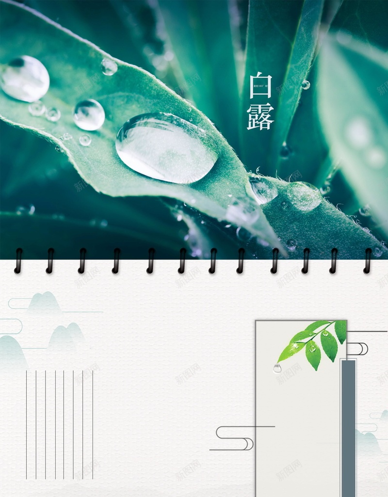 二十四节气传统白露海报背景psd设计背景_新图网 https://ixintu.com 二十四节气 传统 农历 白露 节气 树叶 露珠 分层文件 PSD源文件 高清背景 PSD素材 背景海报 背景素材 背景模板