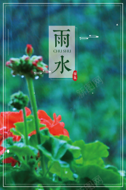 雨水节气绿色清新花朵春天海报背景