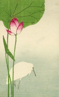 花鸟邀请函中国风花鸟水墨画画册邀请函水彩背景素材高清图片
