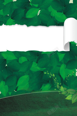 翻页绿叶创意春季约惠海报背景素材高清图片