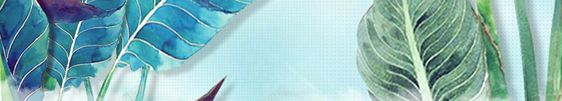 蓝色简约手绘植物彩色树叶设计海报jpg设计背景_新图网 https://ixintu.com 彩色 手绘 植物 简约 蓝色 树叶 设计 海报