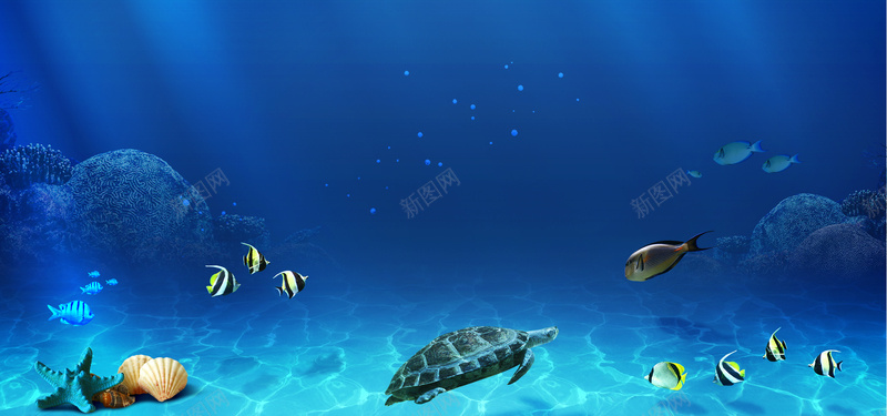 海底世界psd设计背景_新图网 https://ixintu.com 海报banner 世界 浪漫 海底 鱼群 梦幻