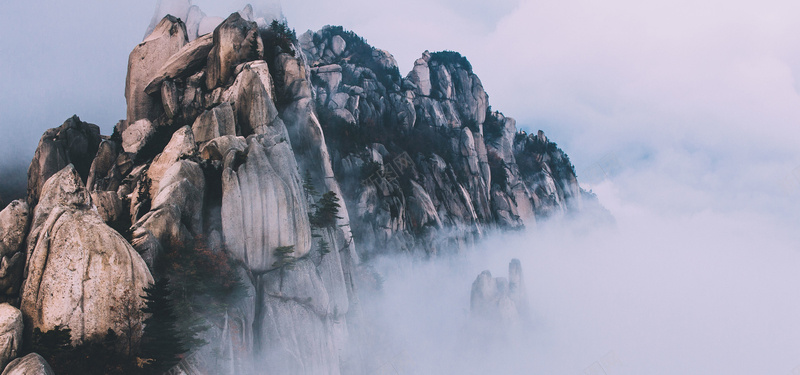 自然摄影中国风白色青色电商海报背景背景