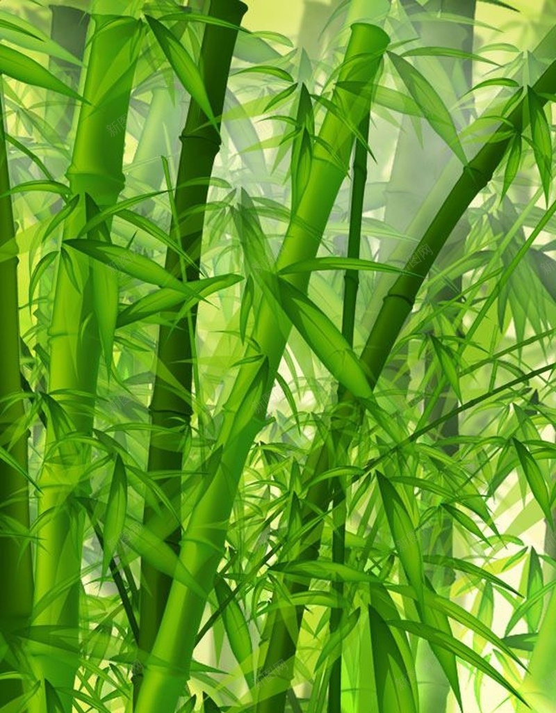 绿色养眼高清手机H5背景jpg设计背景_新图网 https://ixintu.com 绿色 竹子 植物 光线 风景 H5 h5 摄影