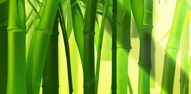 绿色养眼高清手机H5背景jpg设计背景_新图网 https://ixintu.com 绿色 竹子 植物 光线 风景 H5 h5 摄影